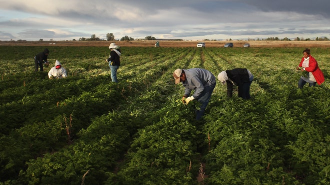 Migrant Farm Workers Alabama.jpg